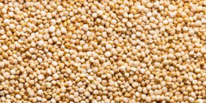 quinoa