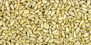 Sunflower Seeds